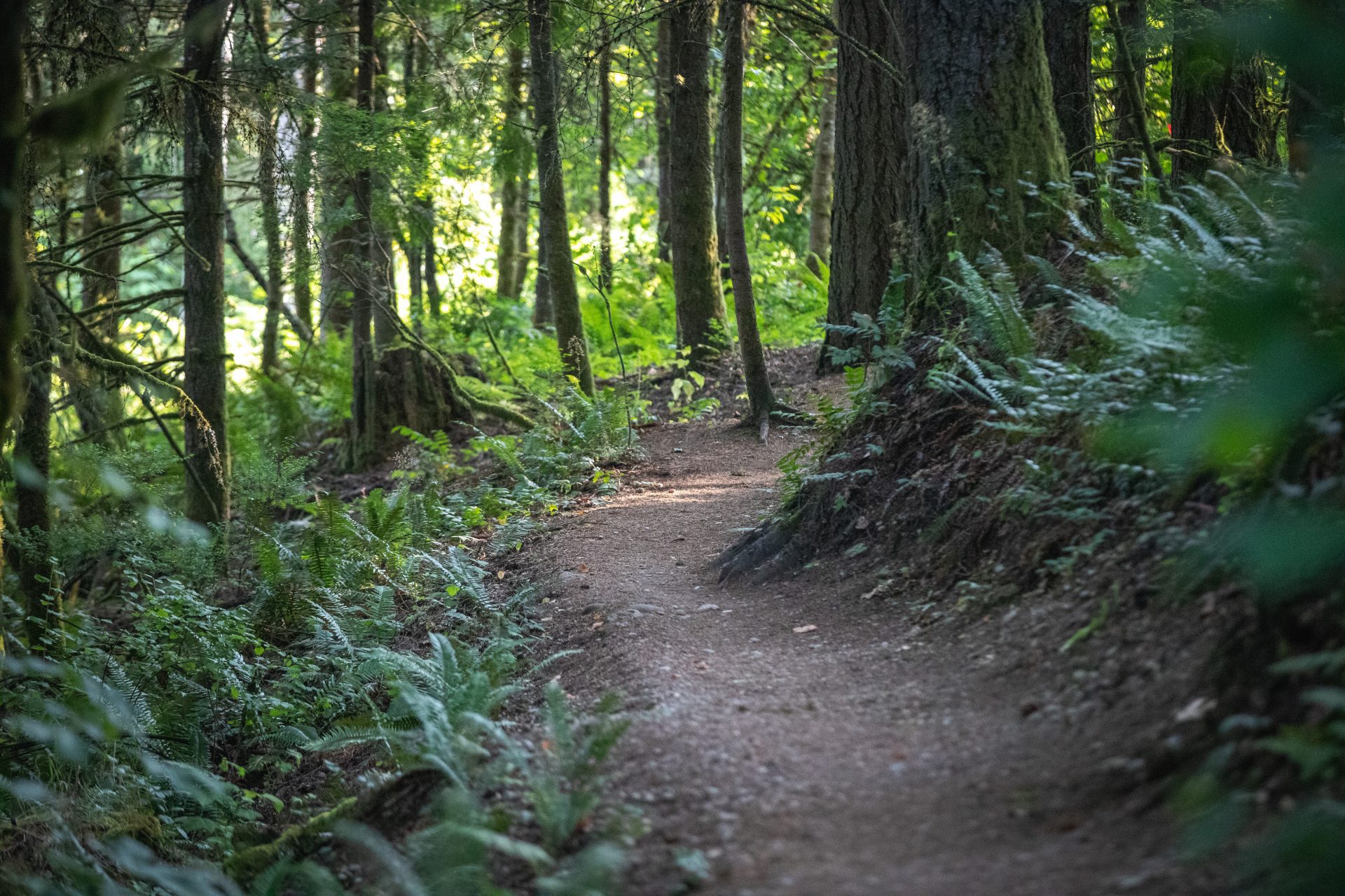 Dash Point, photo 4 of 8