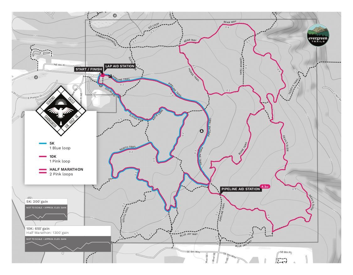 Soaring Eagle Soaring Eagle