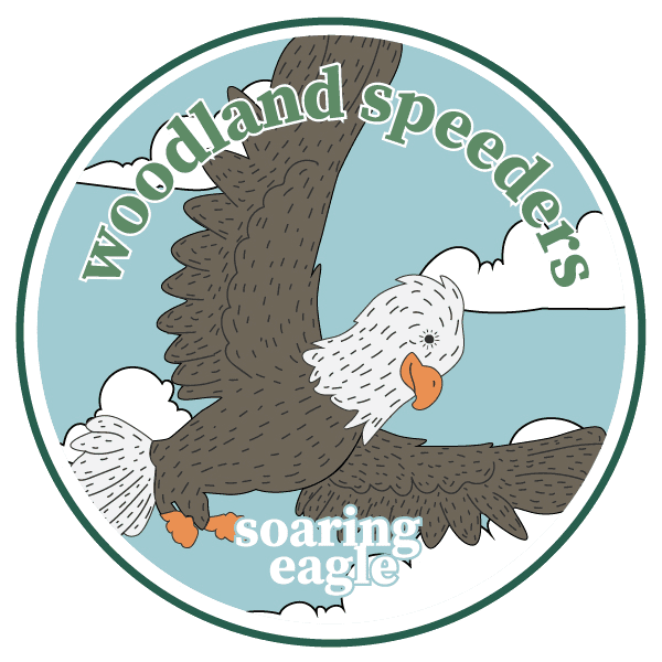 Woodland-Speeders-soaring-eagle-01 Woodland Speeders