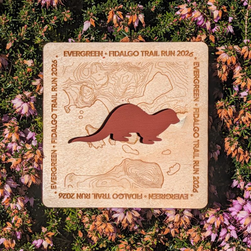 Image of finisher's swag for trail race.