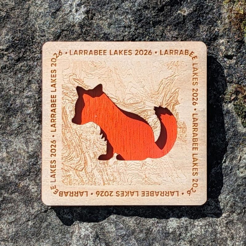 Image of finisher's swag for trail race.