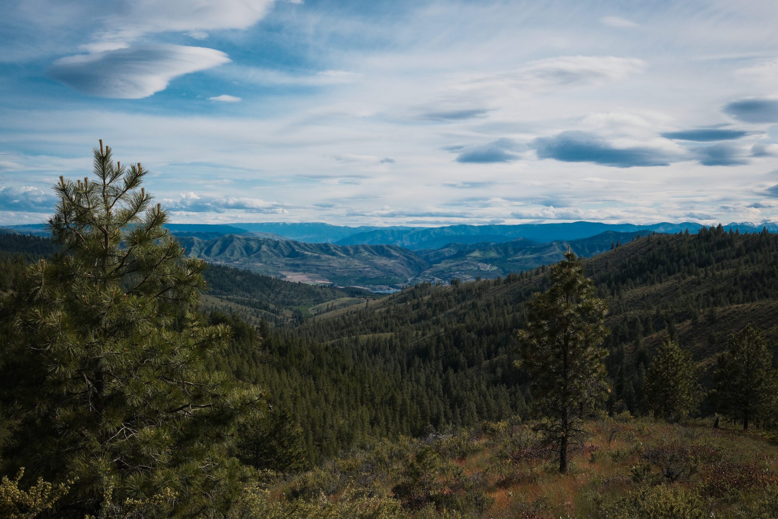 Echo Valley, photo 4 of 8